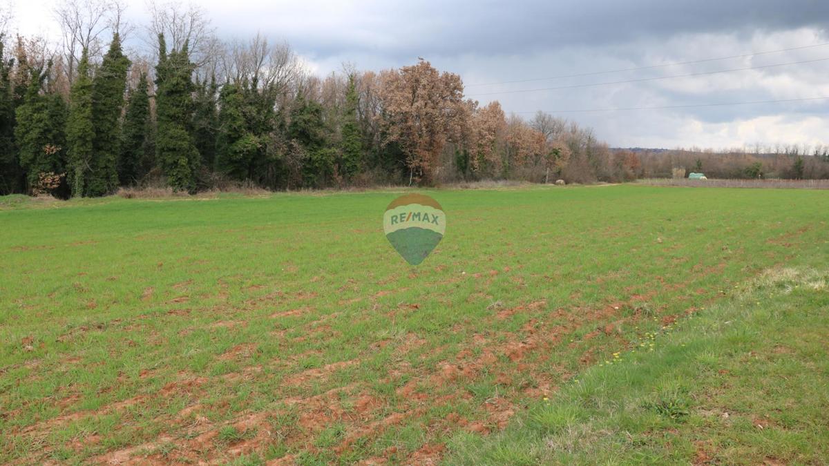 Stavbno zemljišče Poreč, 10.200m2