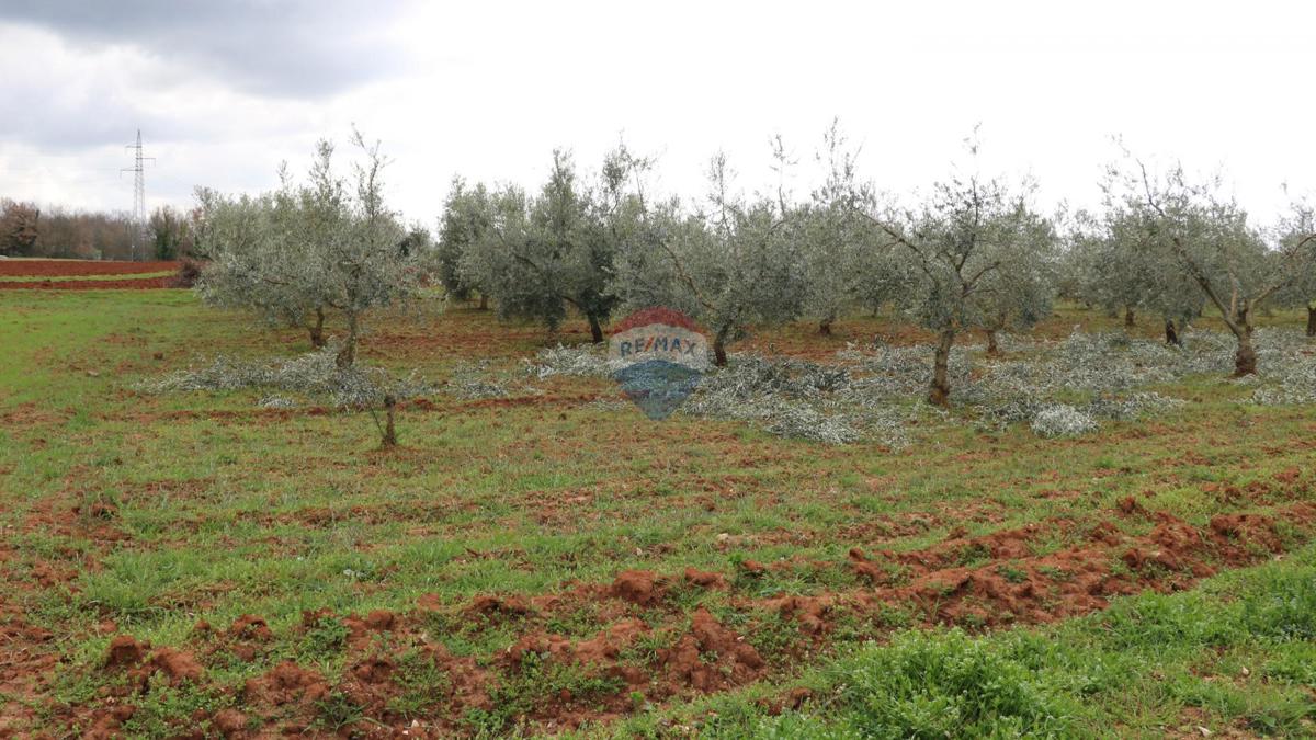 Stavbno zemljišče Poreč, 10.200m2
