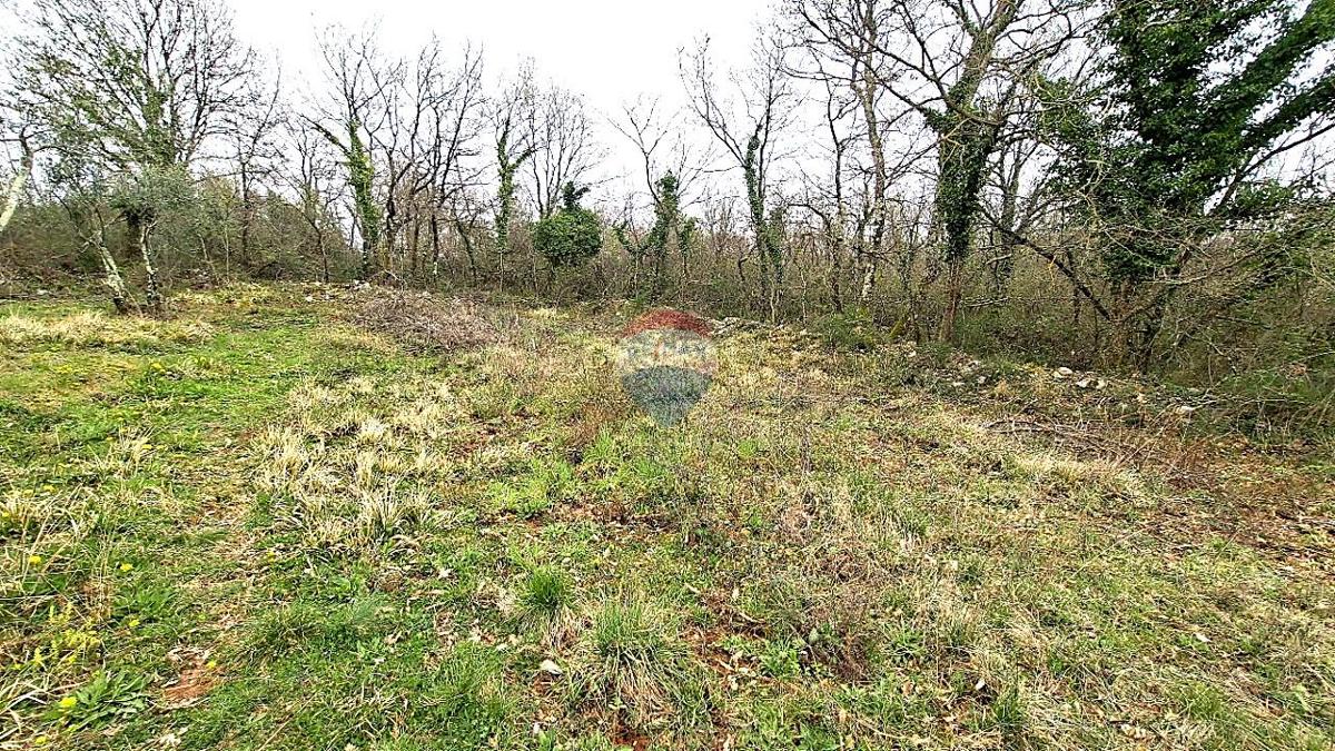 Stavbno zemljišče Kaštel, Buje, 5.704m2