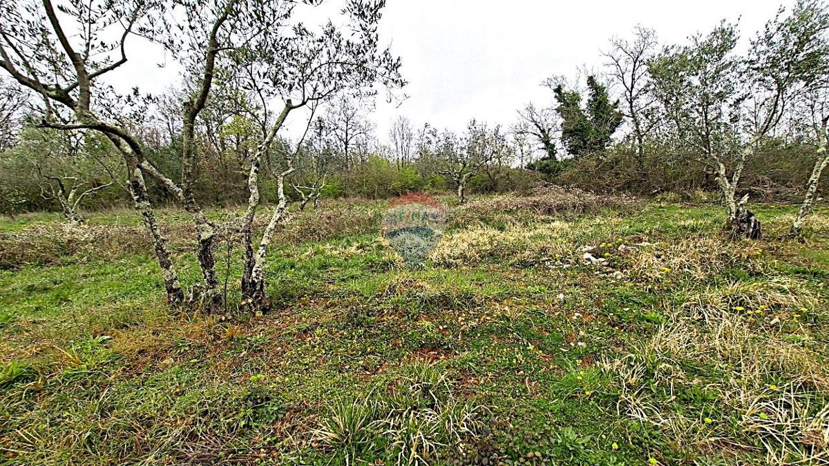 Stavbno zemljišče Kaštel, Buje, 5.704m2