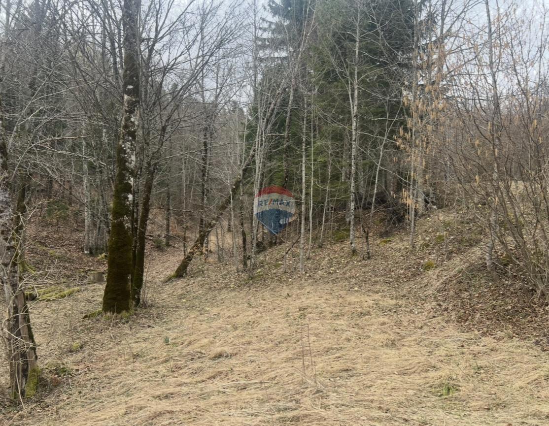 Stavbno zemljišče Stari Laz, Ravna Gora, 1.569m2