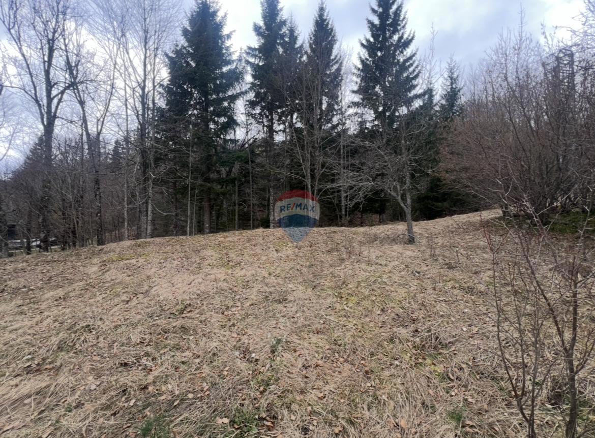 Stavbno zemljišče Stari Laz, Ravna Gora, 1.569m2