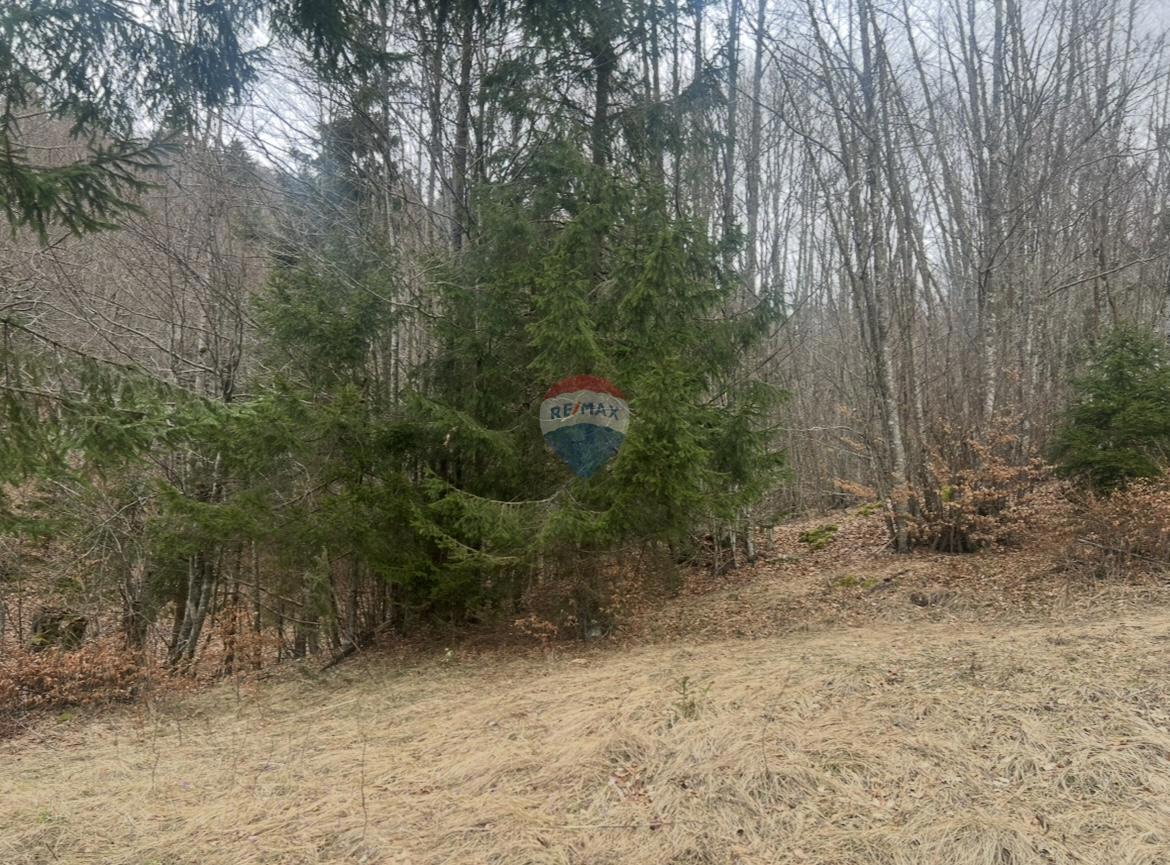 Stavbno zemljišče Stari Laz, Ravna Gora, 1.569m2