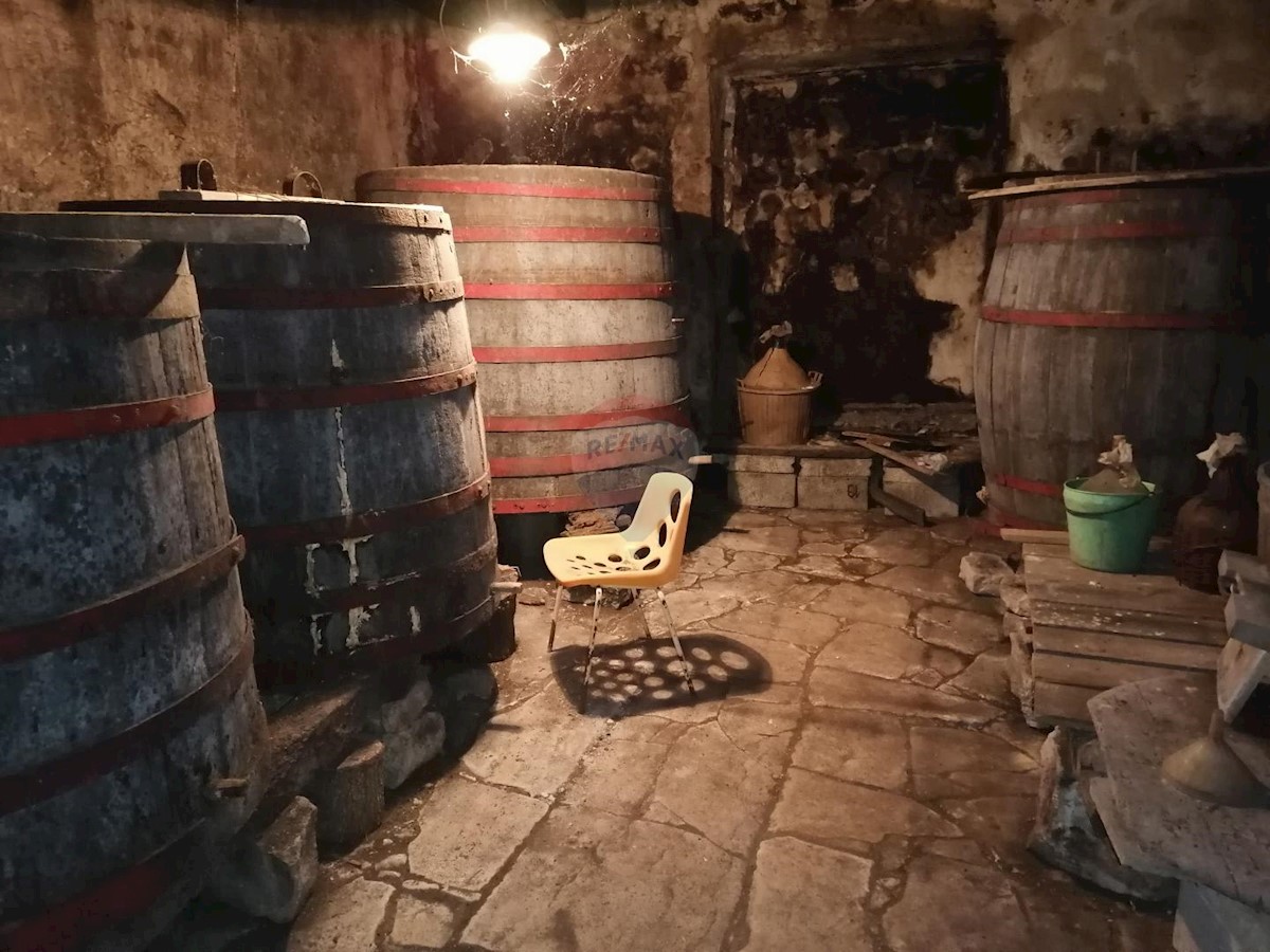 Hiša Višnjan, 201m2