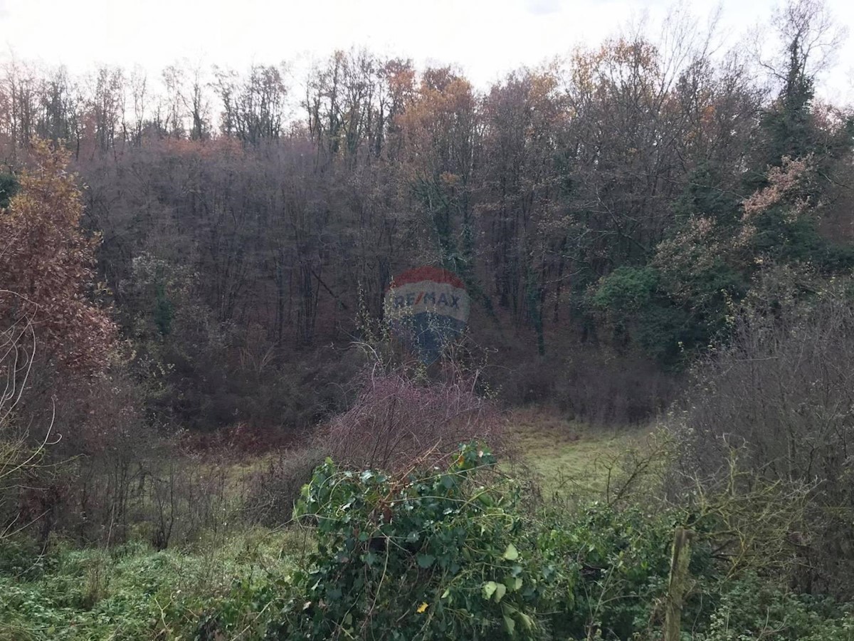Trviž, Pazin - Okolica, 2.697m2