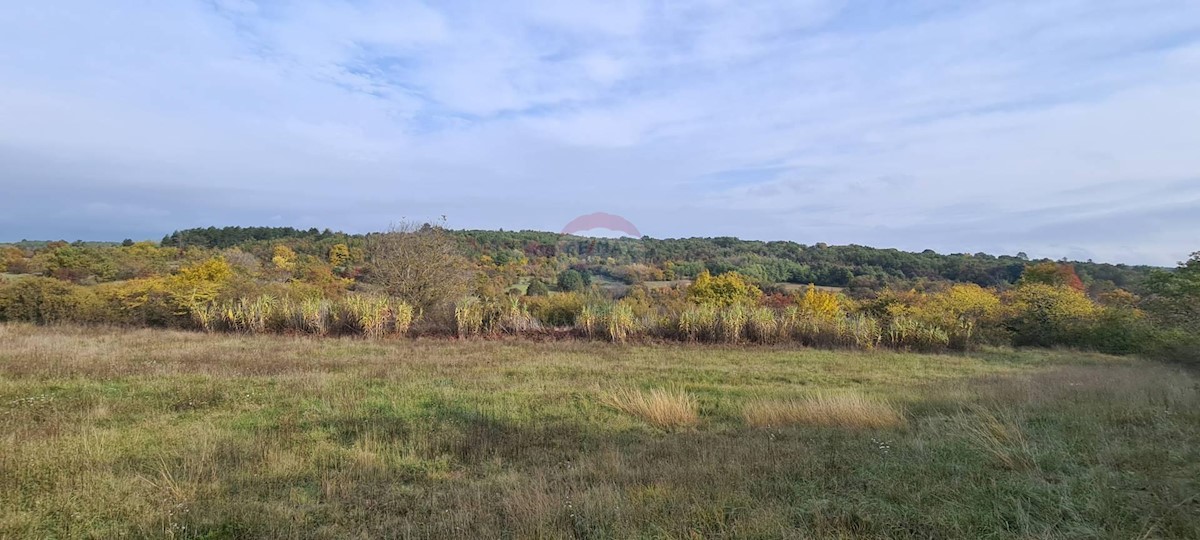 Grožnjan, 10.328m2