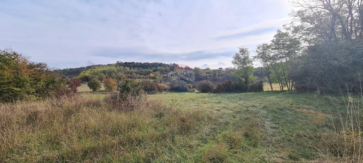 Grožnjan, 10.328m2