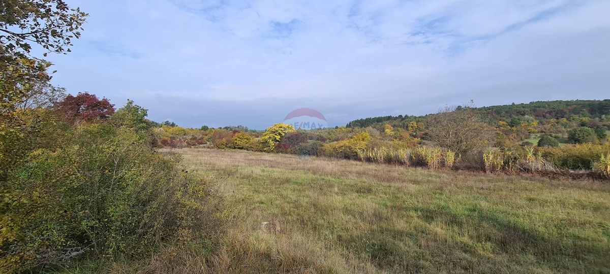 Grožnjan, 10.328m2