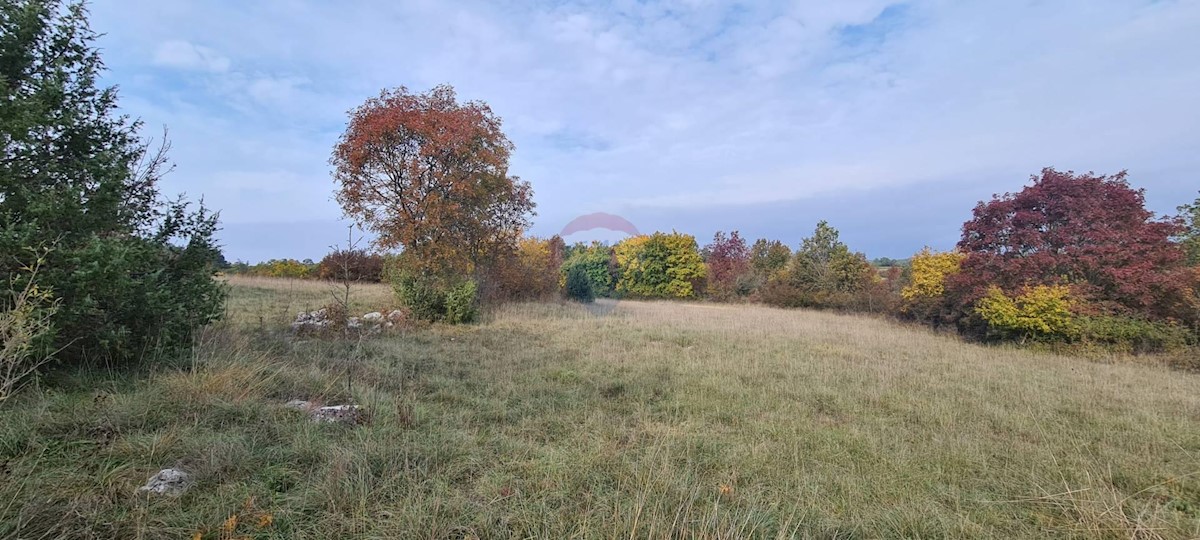 Grožnjan, 10.328m2