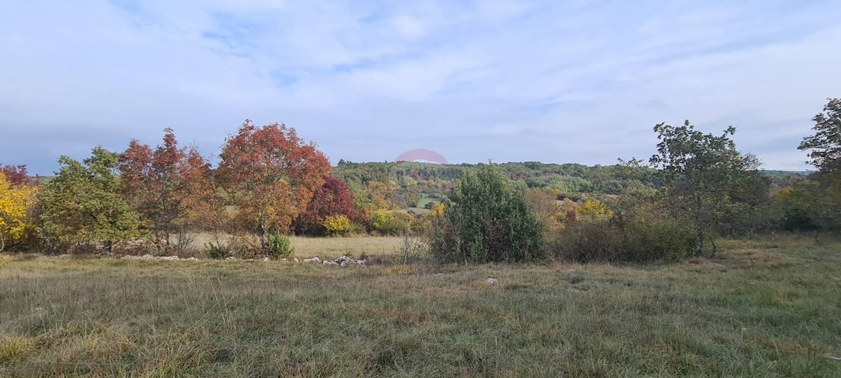 Grožnjan, 10.328m2