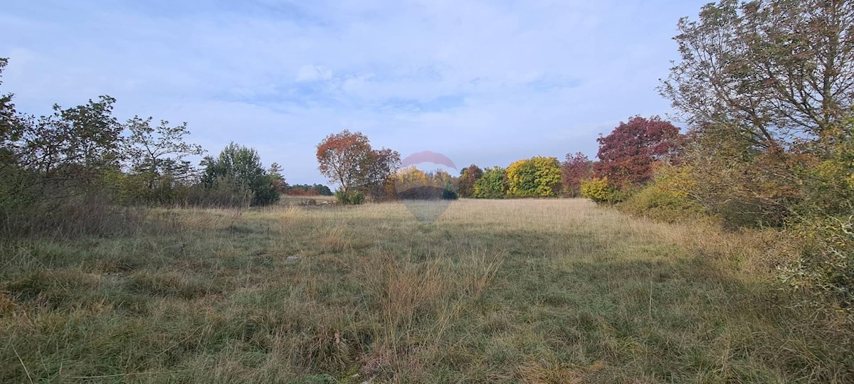 Grožnjan, 10.328m2