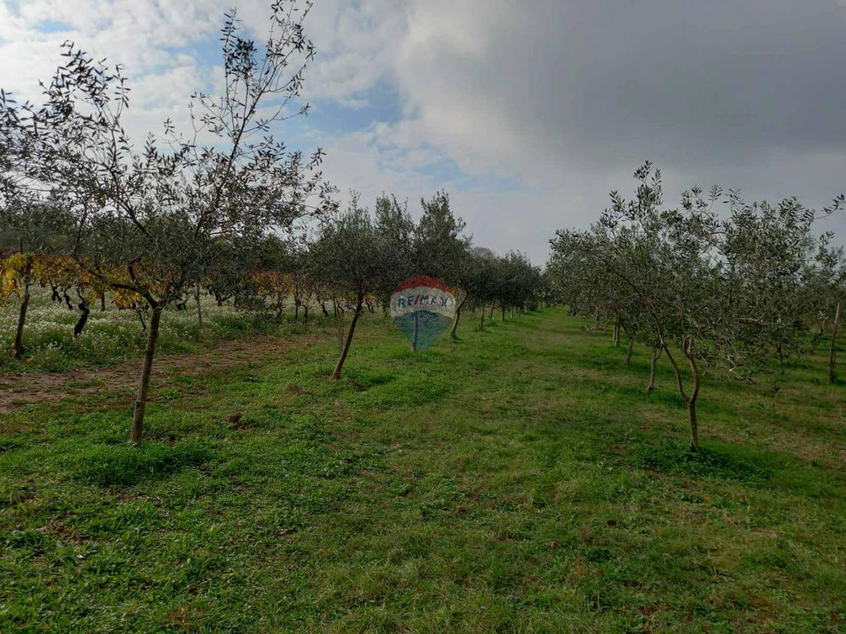 Juršići, Svetvinčenat, 2.449m2