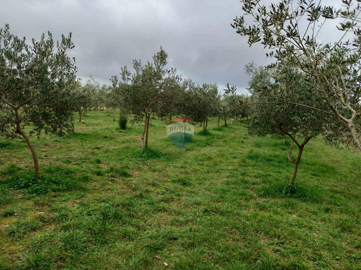 Juršići, Svetvinčenat, 2.449m2