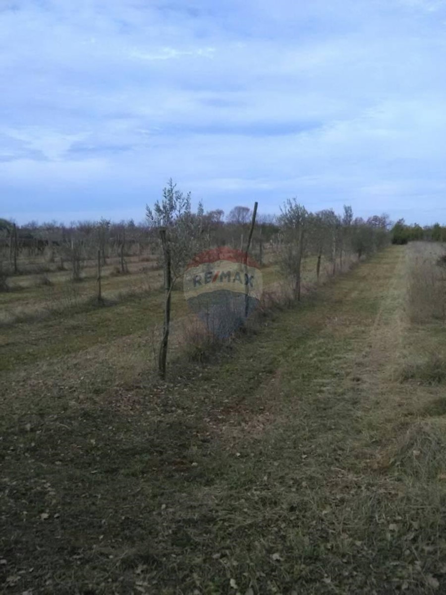 Juršići, Svetvinčenat, 2.449m2