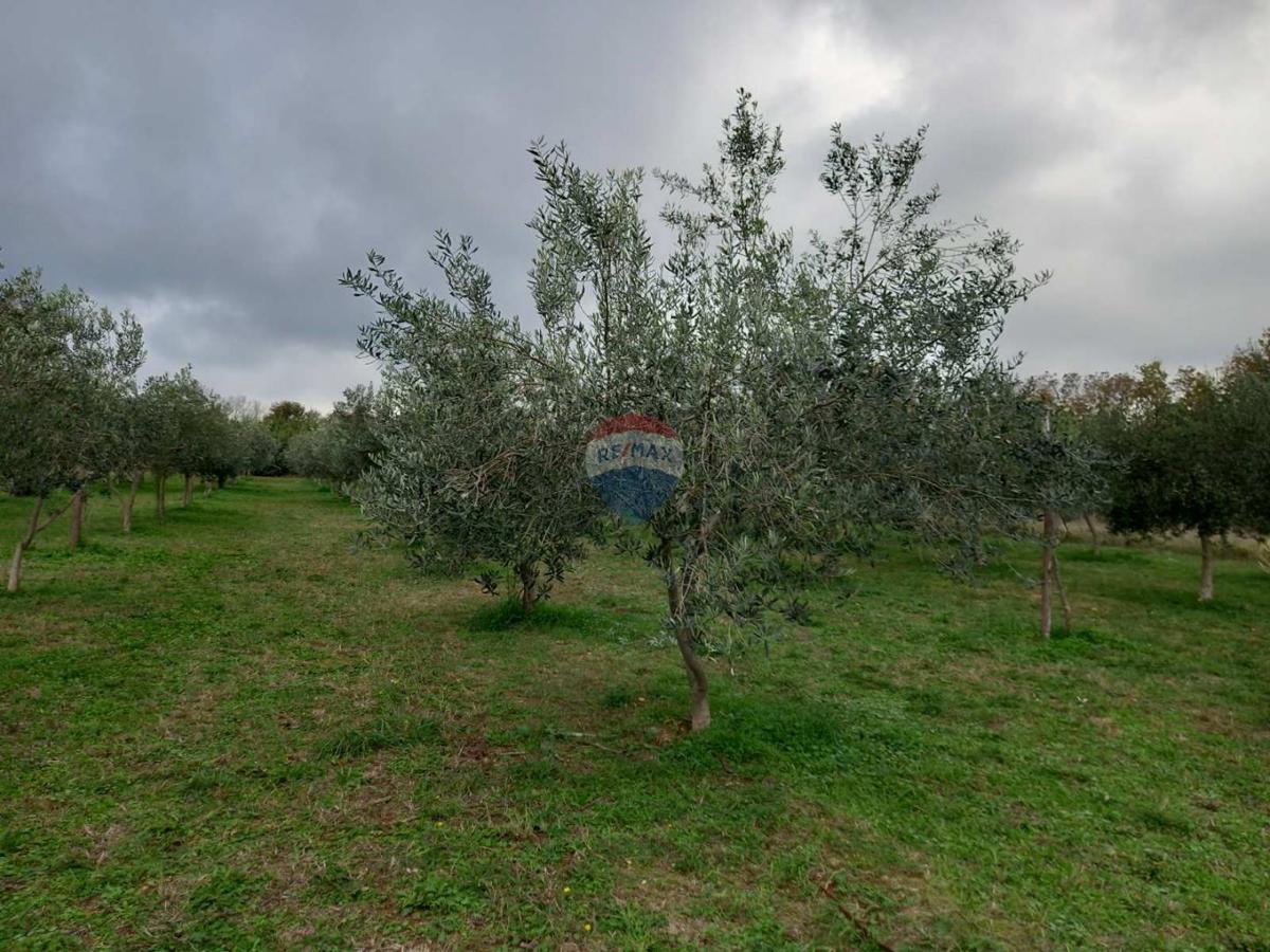 Juršići, Svetvinčenat, 2.449m2