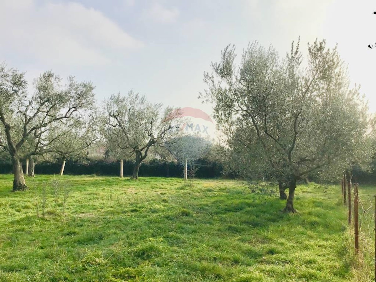 Stavbno zemljišče Peroj, Vodnjan, 1.002m2