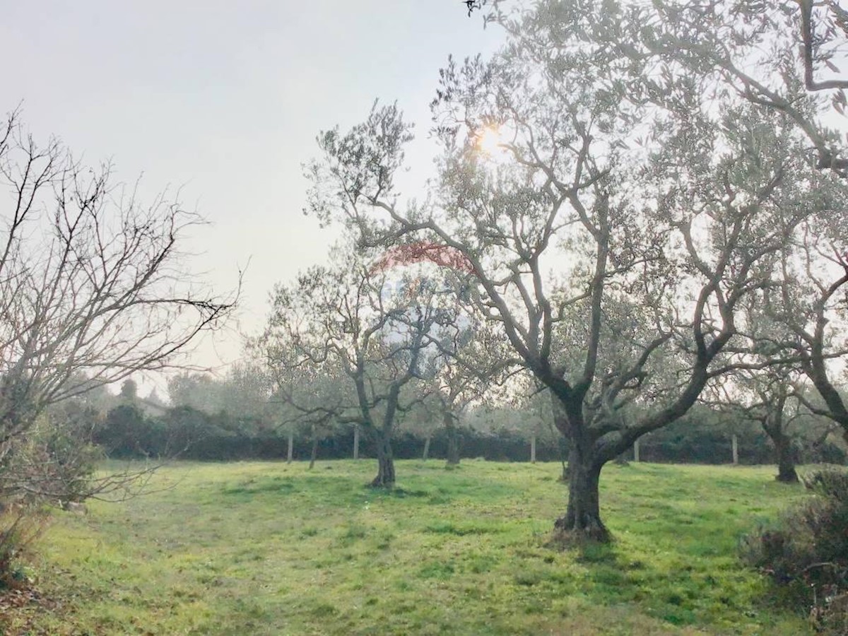 Stavbno zemljišče Peroj, Vodnjan, 1.002m2