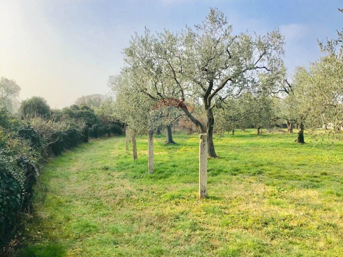 Stavbno zemljišče Peroj, Vodnjan, 1.002m2