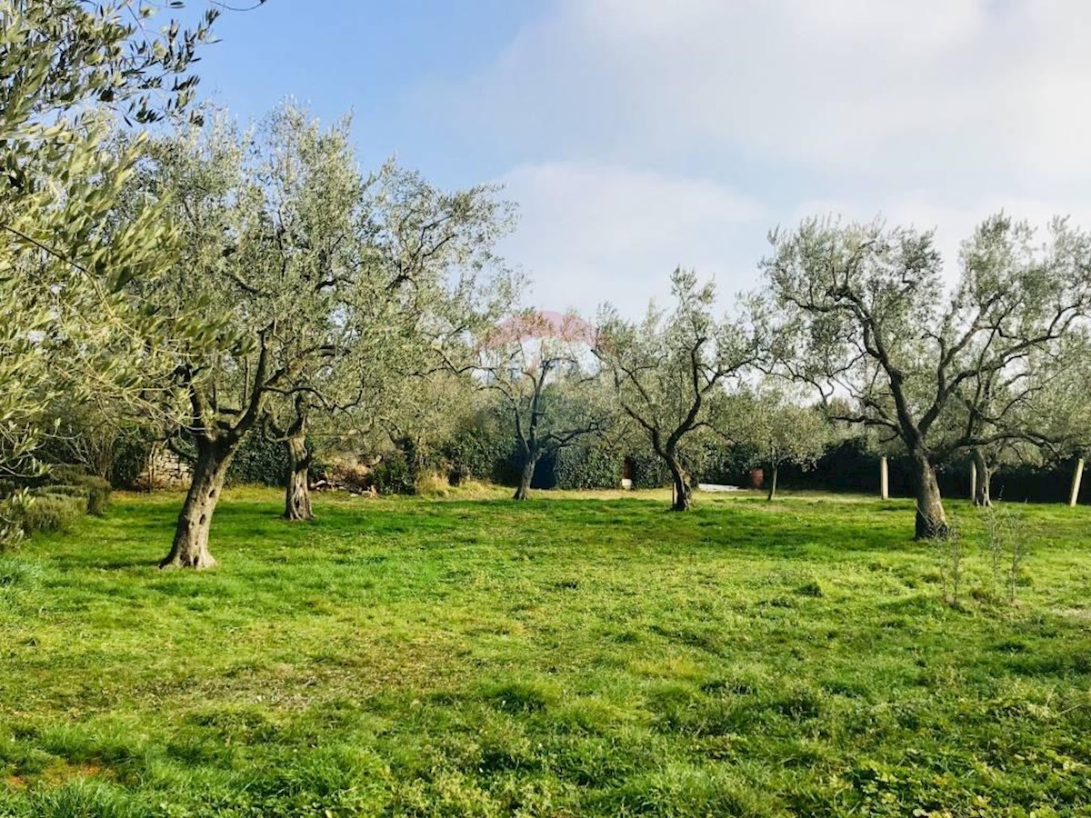 Stavbno zemljišče Peroj, Vodnjan, 1.002m2