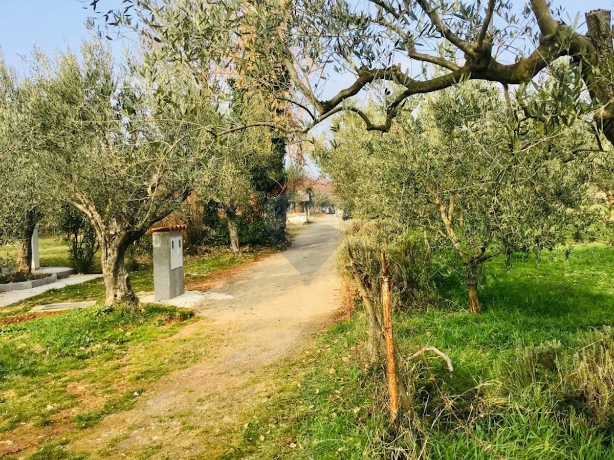 Stavbno zemljišče Peroj, Vodnjan, 1.002m2