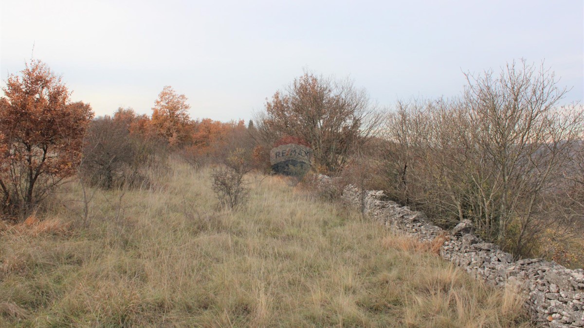 Momjan, Buje, 8.039m2