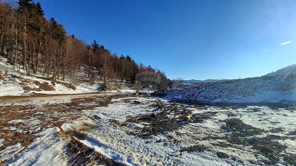 Vrata, Fužine, 10.000m2