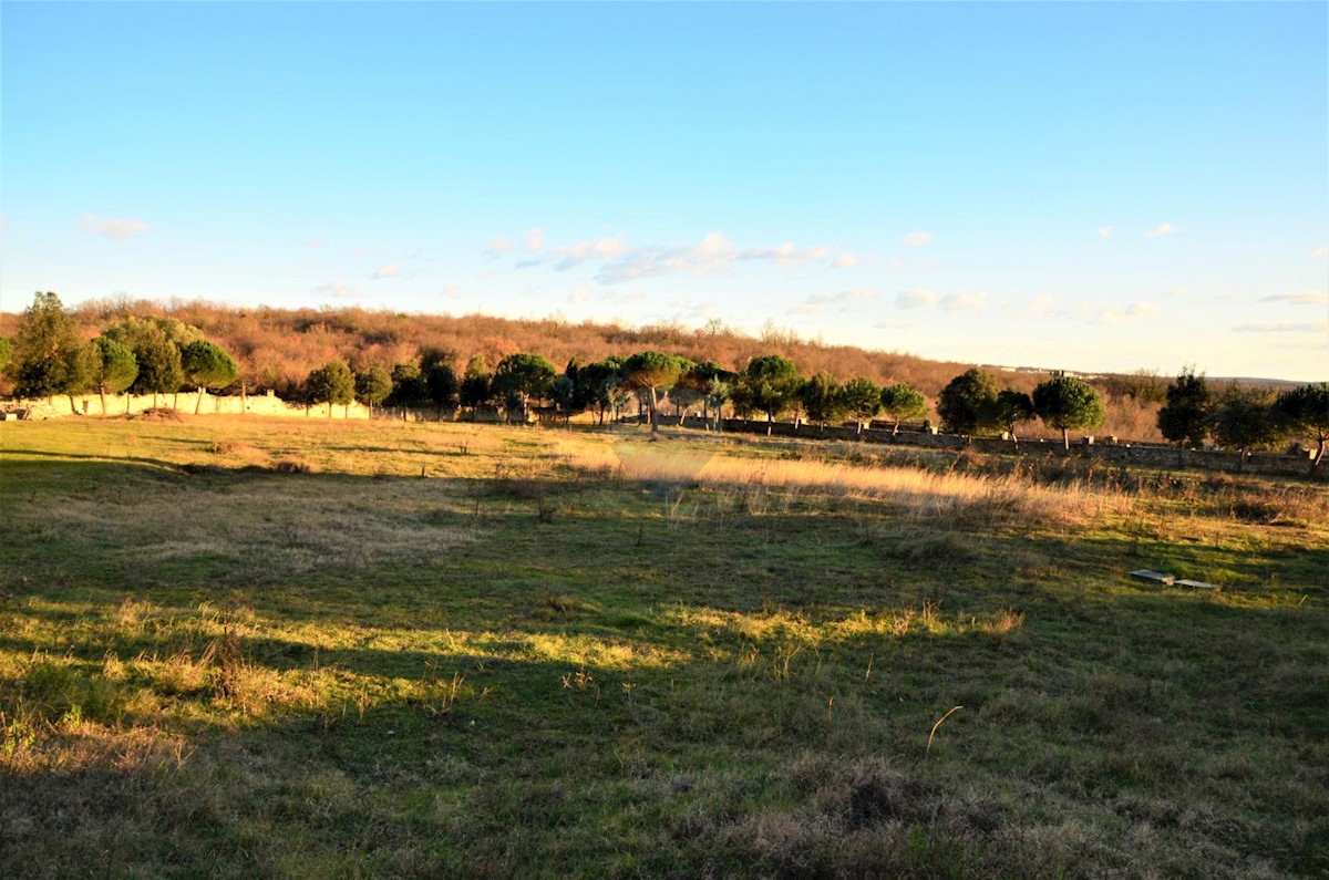 Hiša Kanfanar, 350m2