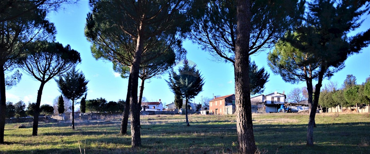 Hiša Kanfanar, 350m2