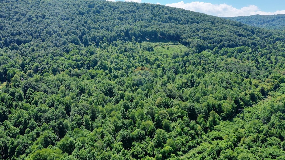 Draga Lukovdolska, Vrbovsko, 8.254m2