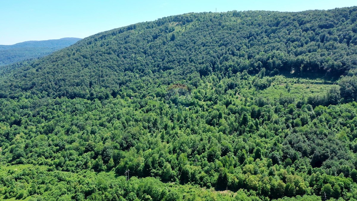 Draga Lukovdolska, Vrbovsko, 8.254m2