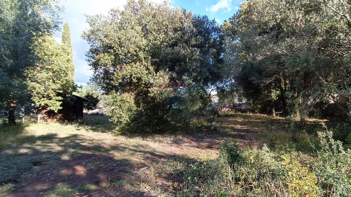 Peroj, Vodnjan, 482m2