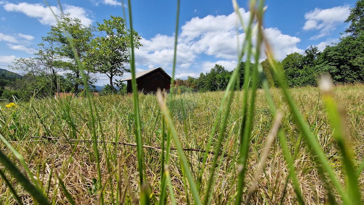 Zaumol, Vrbovsko, 3.100m2