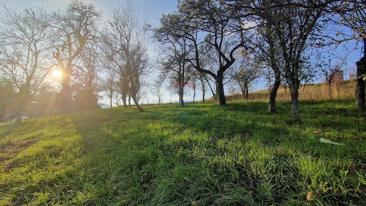 Vrbovsko, 4.184m2