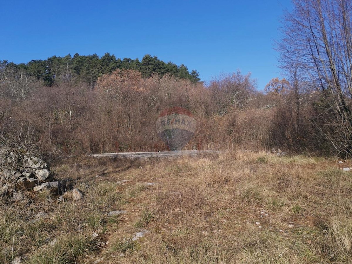 Veprinac, Opatija - Okolica, 2.878m2