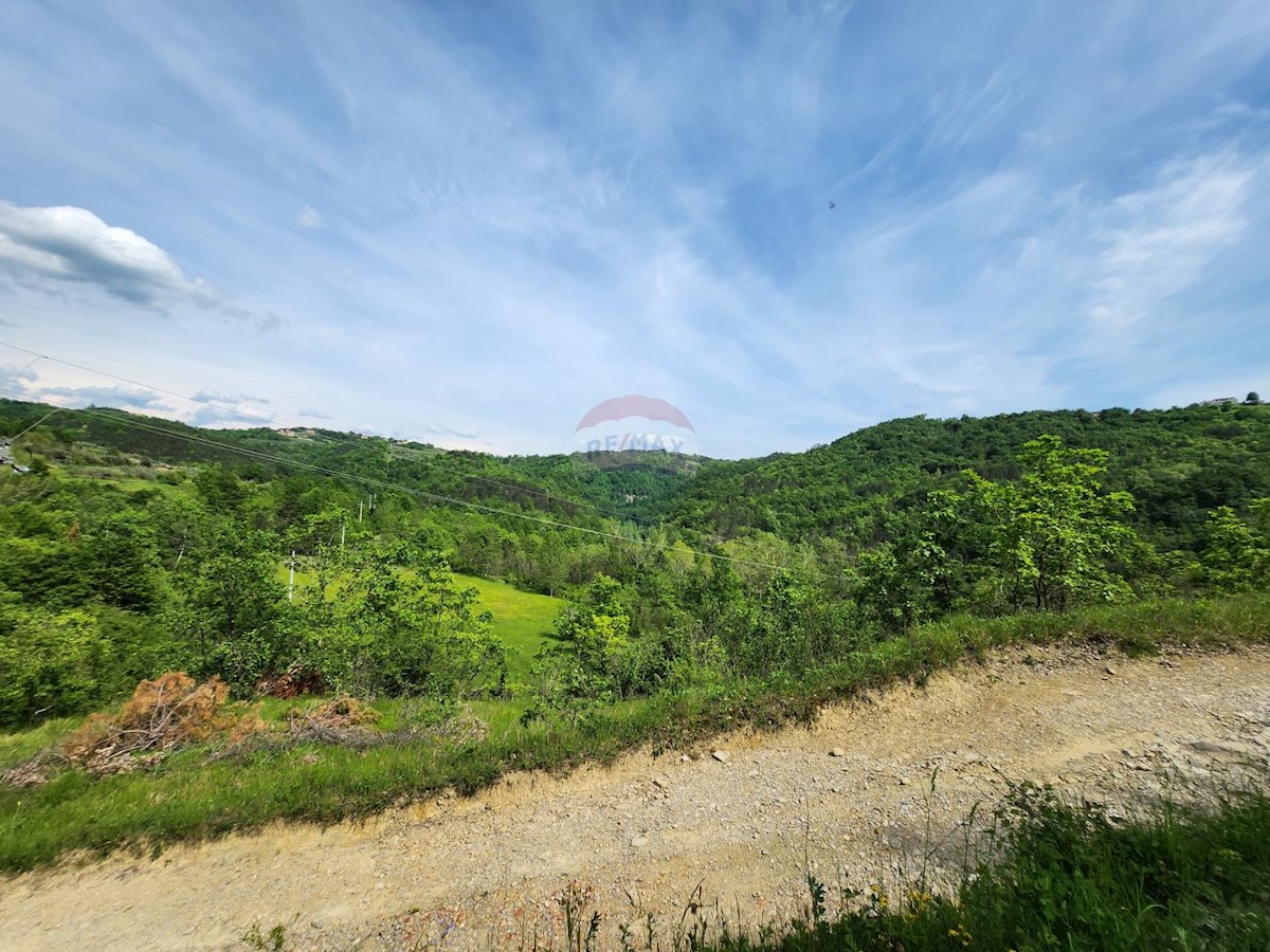 Črnica, Buzet, 33.705m2