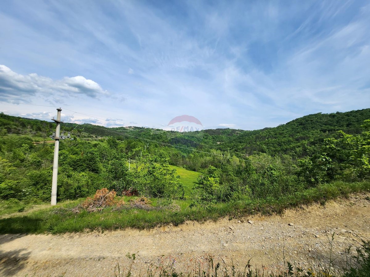 Črnica, Buzet, 33.705m2