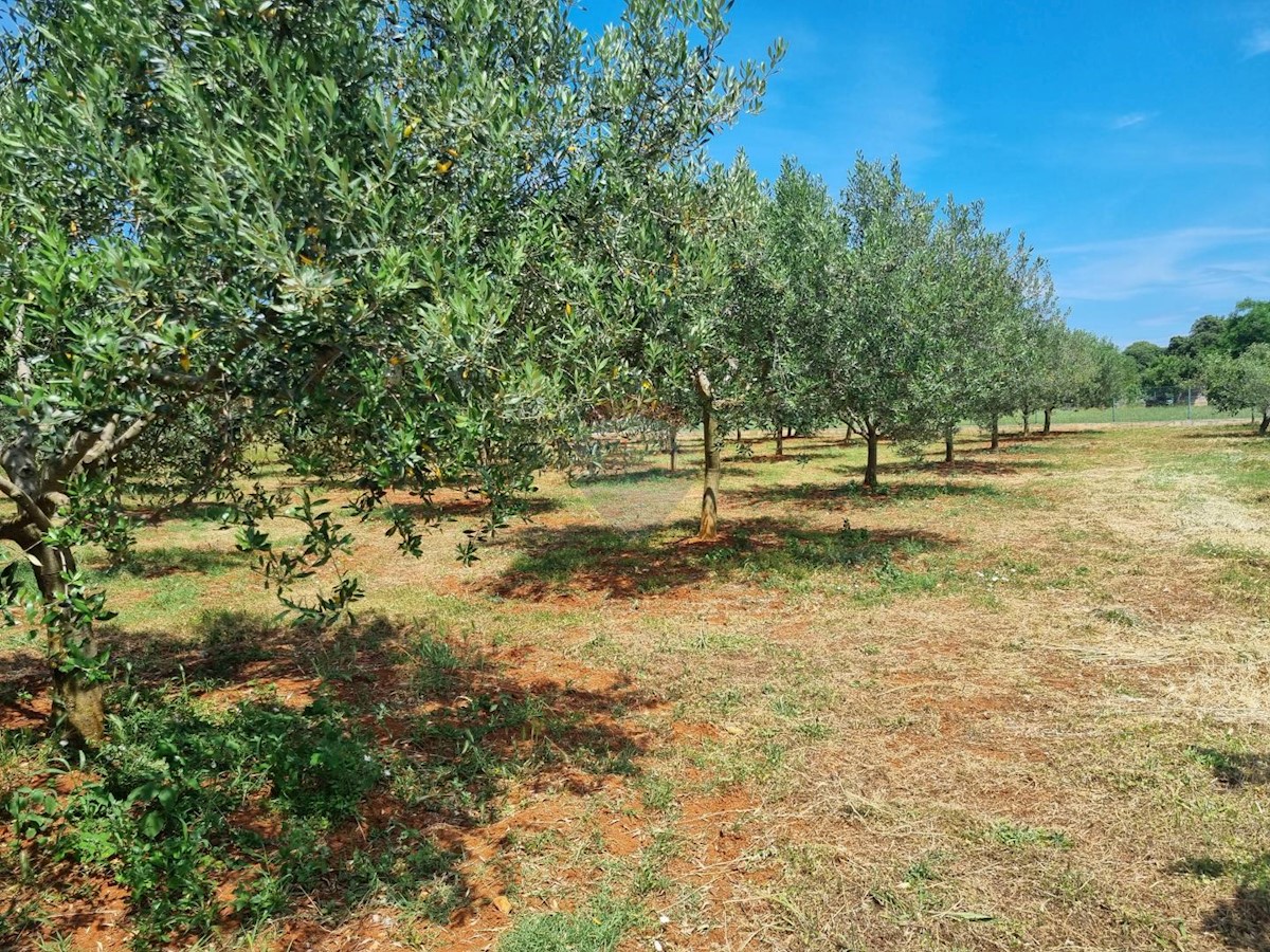 Loborika, Marčana, 2.321m2