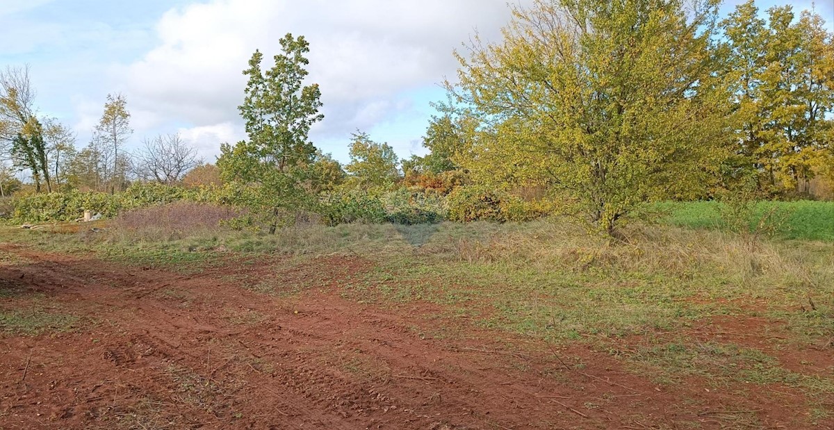 Stavbno zemljišče Laginji, Žminj, 1.171m2