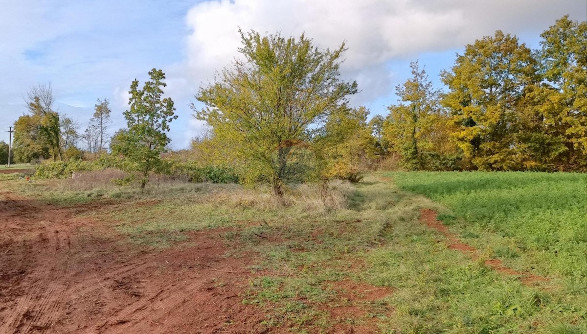 Stavbno zemljišče Laginji, Žminj, 1.171m2