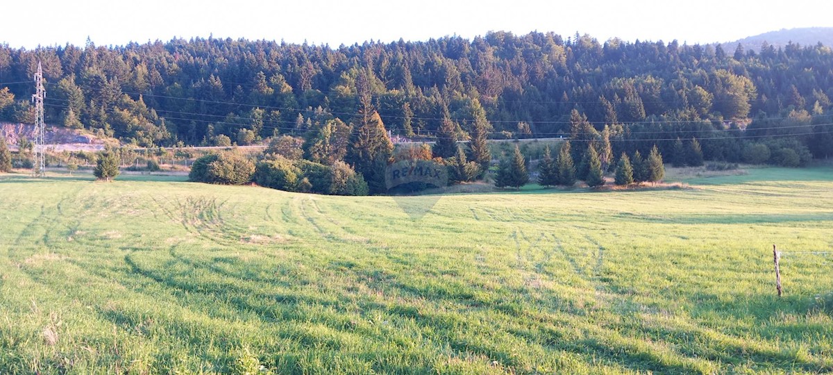 Hiša Stara Sušica, Ravna Gora, 168m2