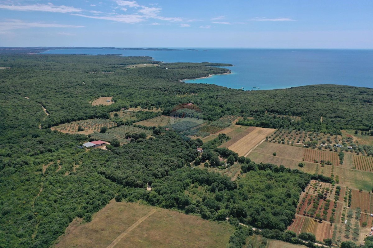 Stavbno zemljišče Rovinj, 14.700m2