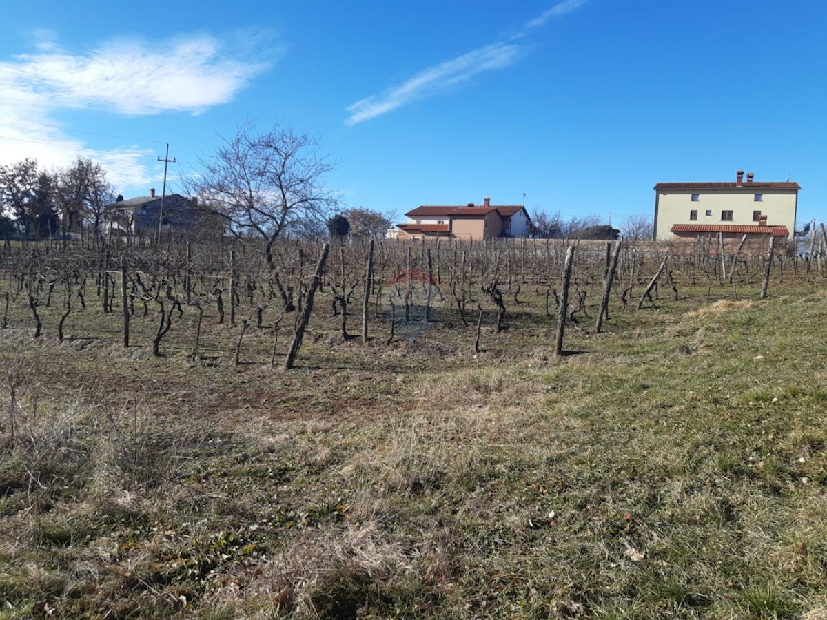 Stavbno zemljišče Novaki Motovunski, Karojba, 4.674m2