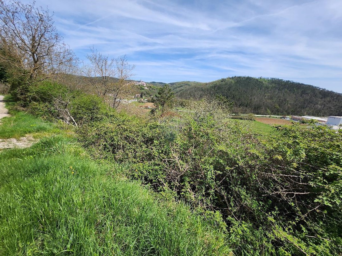 Stavbno zemljišče Beram, Pazin - Okolica, 8.281m2