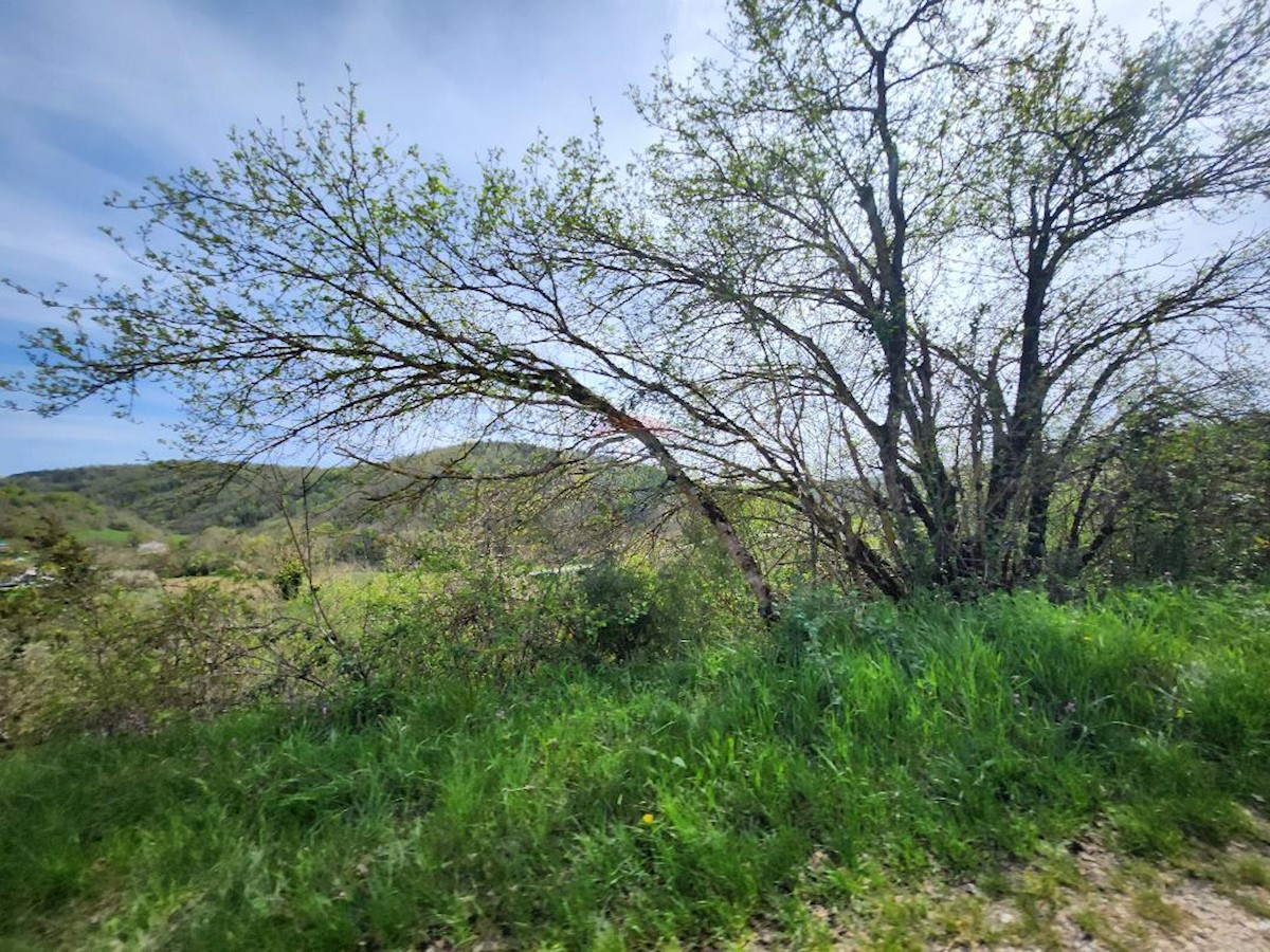 Stavbno zemljišče Beram, Pazin - Okolica, 8.281m2