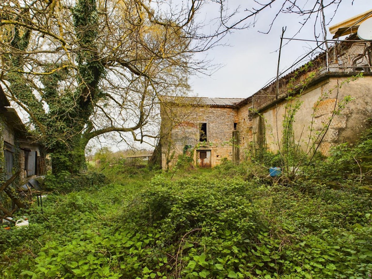 Hiša Baderna, Poreč, 320m2