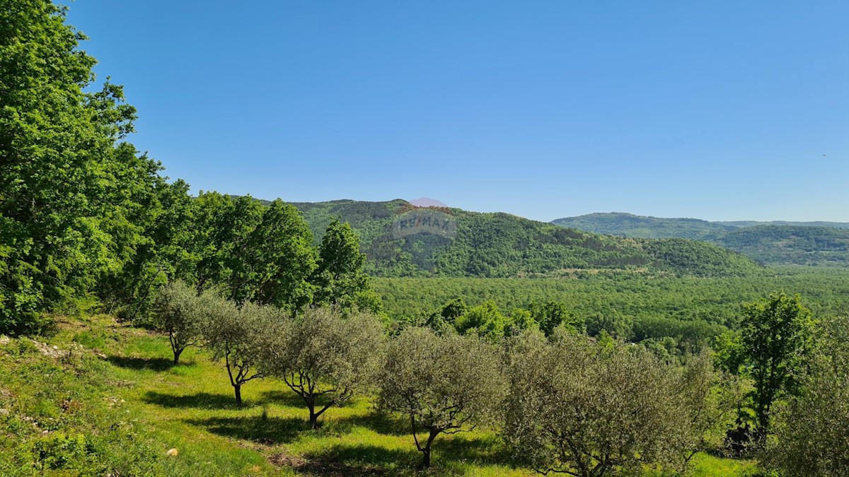 Stavbno zemljišče Oprtalj, 3.816m2