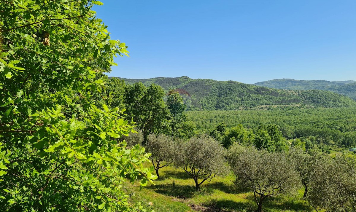 Stavbno zemljišče Oprtalj, 3.816m2