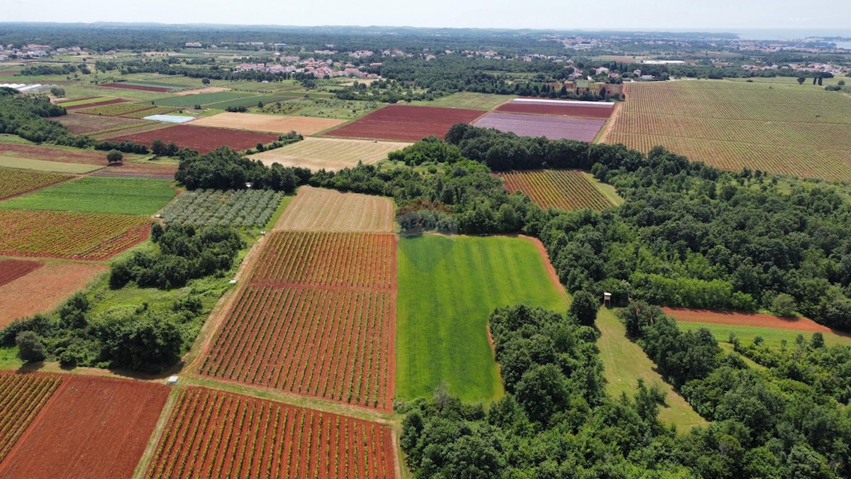 ISTRIA, POREČ - land 6420 m2 