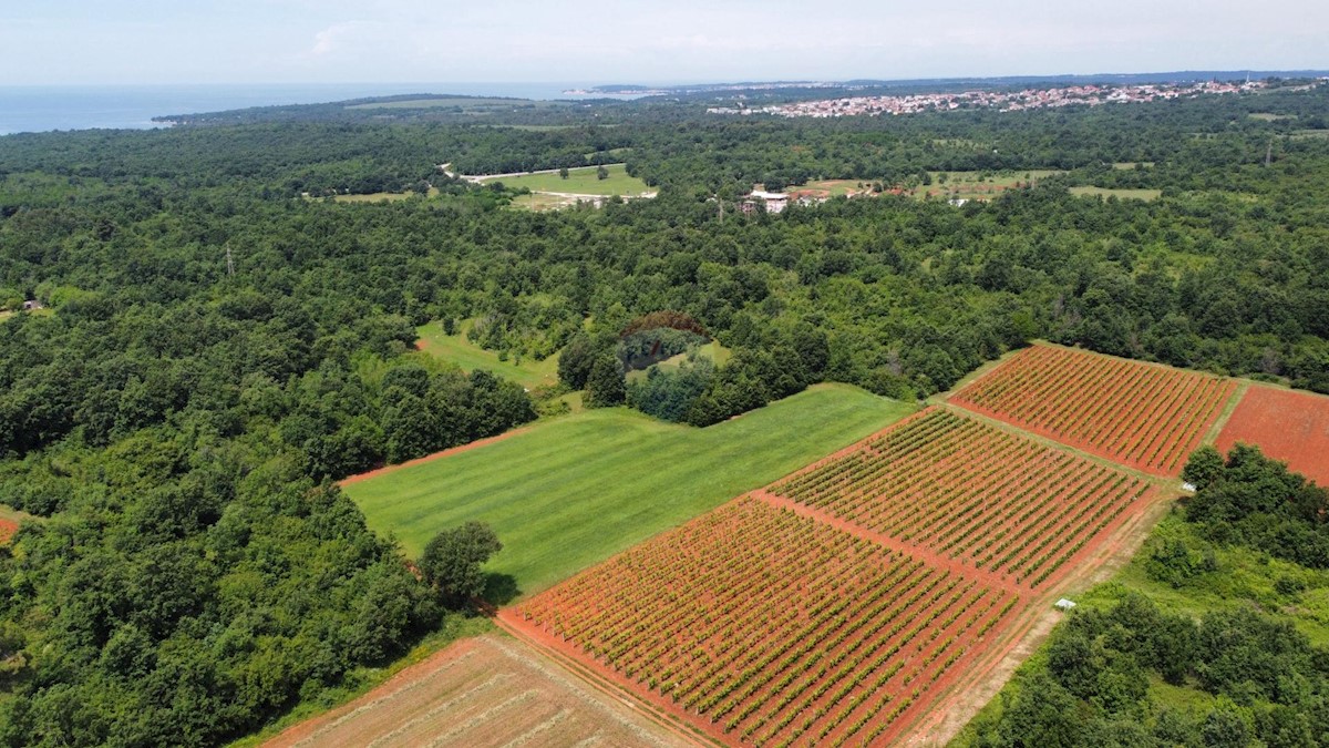 ISTRIA, POREČ - land 6420 m2 