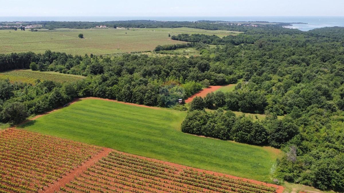 ISTRIA, POREČ - land 6420 m2 